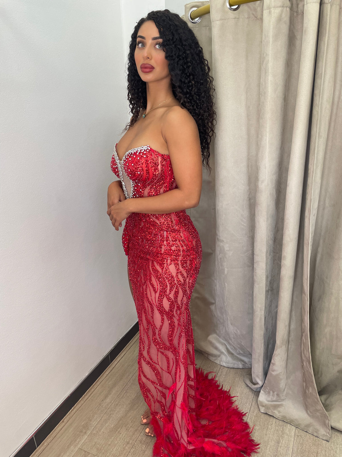 Maria Red Embellished Feather Gown
